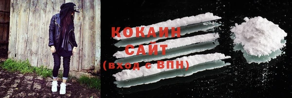 крисы Арсеньев