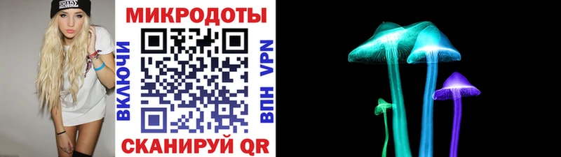 Псилоцибиновые грибы Psilocybe  Арск 